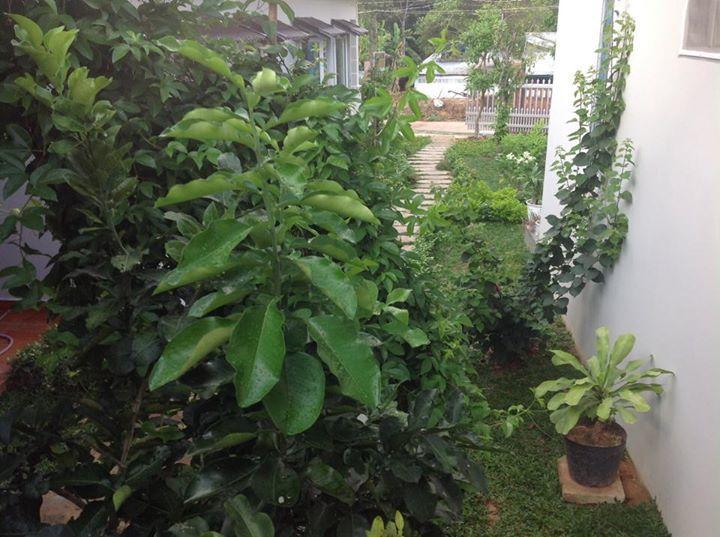 Manh Duyen Garden Homestay Phu Quoc Exterior foto