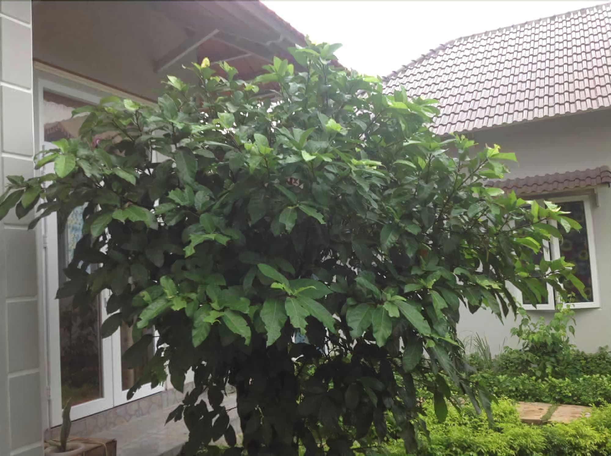 Manh Duyen Garden Homestay Phu Quoc Exterior foto